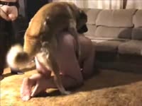 Furry dog banging a fat slut on the couch